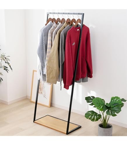 Amazon｜ディノス 衣類収納 コートハンガー コート掛け Erwin